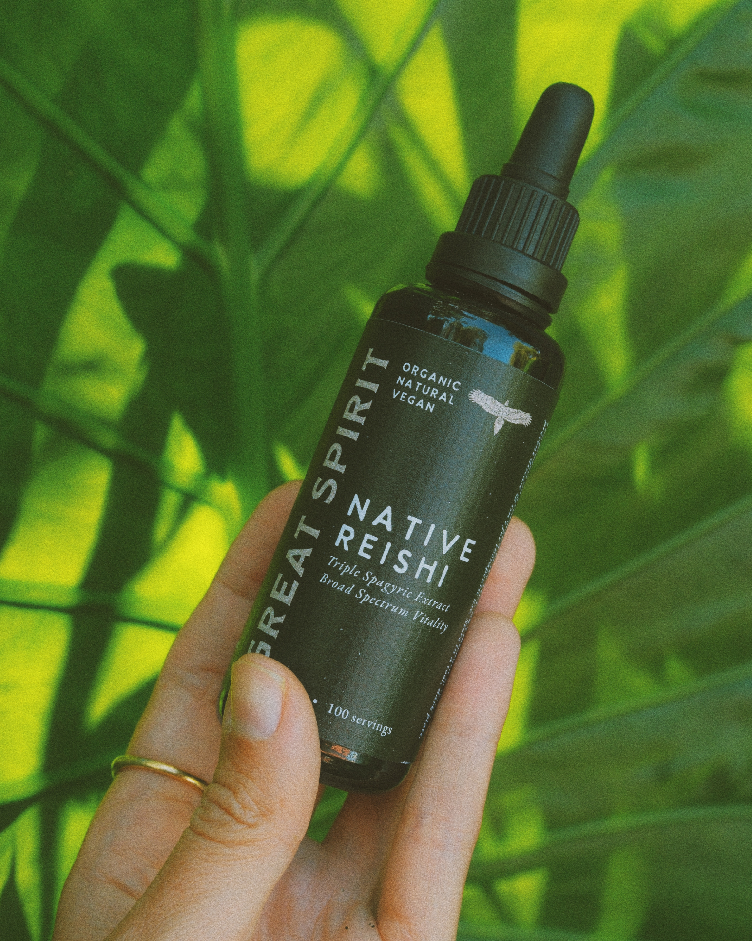 NATIVE REISHI TINCTURE