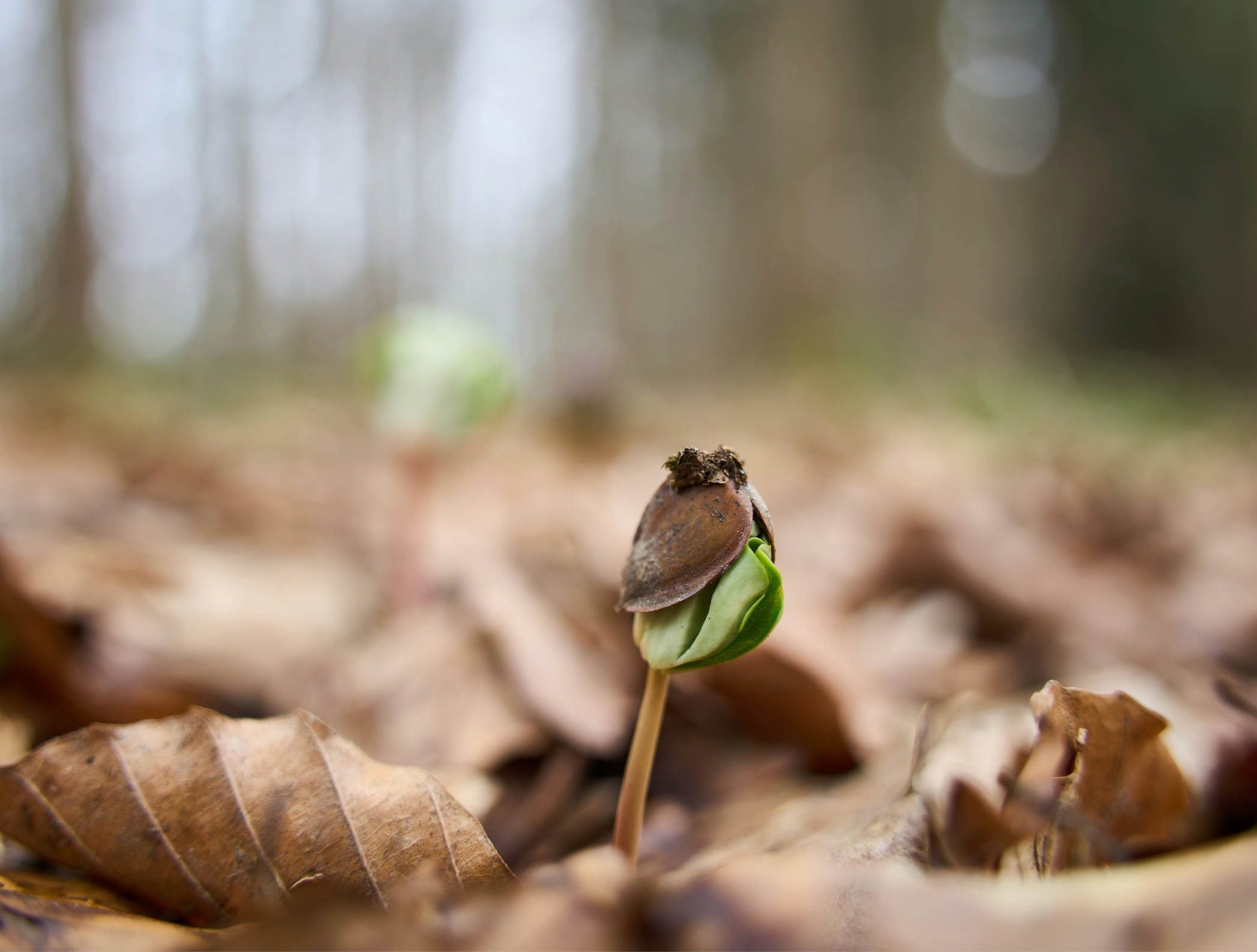 Metabolising the Moment