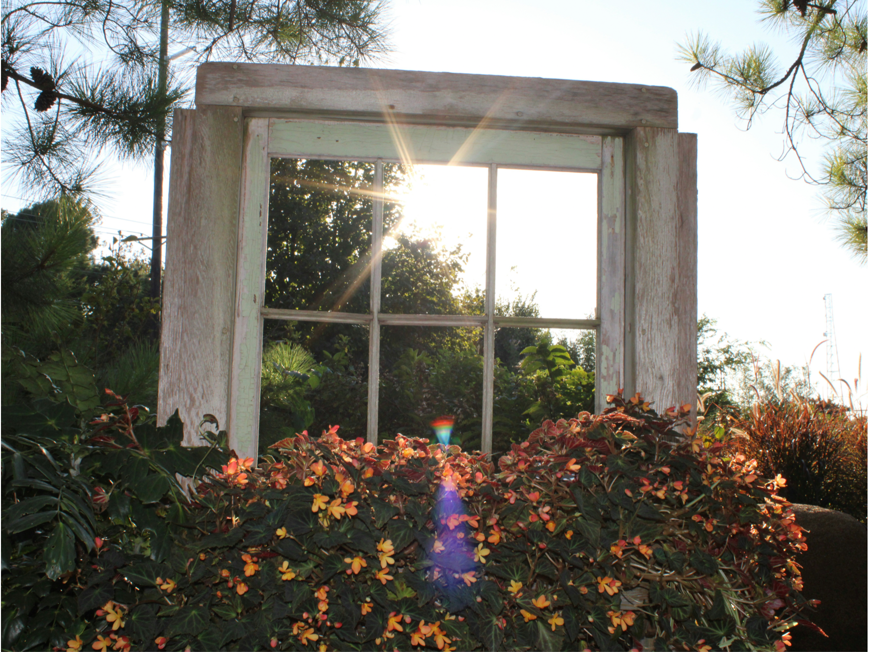 The Frames of Perception